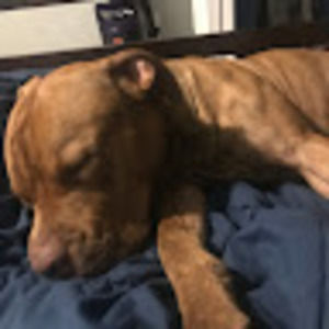 Meet your Posher, Kali